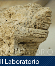 Home Laboratorio